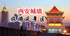 锕操b的好痛的视频网站中国陕西-西安城墙旅游风景区